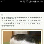 [19] 근데 ㄹㅇ <b>문창</b>과 가면 나중에 뭐 해??