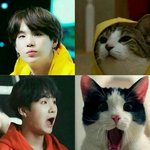 [군대] 윤기랑 <b>지민이</b> 고양이