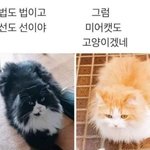 [댓글부탁해] 근데 문화 대혁명 때 <b>숙청</b>하던 기준이 뭐야?