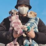 [방탄소년단] 옆구리터진김밥군 <b>송</b>팽이 하2라이트에