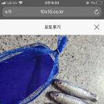 남친한테 정어리 초콜릿 선물 추반좀