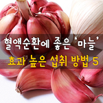 [50대] 혈액순환에 좋은 마늘, 효과 높은 섭취 방법