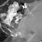 보아가 일본 블로그 1위하던 시절 올린 글