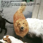 오늘 하루가 유독 길게 느껴질 직장인들