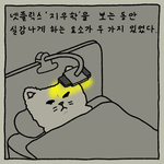지금 우리 학교는 <b>실감</b>나게 보는 방법