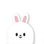 [스키즈] <b>리빗</b>