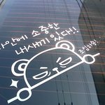 <b>차량</b>스티커 그냥 좀 평범하면 안되나요?
