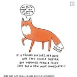 유익한 여러 동물 상식들