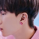 [BTOB] <b>꽃</b> <b>귀걸이</b>