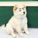 [드루와] 내일 이렇게 입고 나가면 얼어<b>죽음</b>??