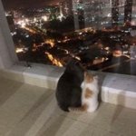 [댓글부탁해] 이것도 자의식과<b>잉임</b>??