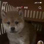 [NCT칠프] 문탤 우리 몰래 틱톡<b>하네</b>