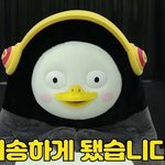 [19] 근데 <b>하뉴</b> 도화살 있다는거 나만 이해 안가냐