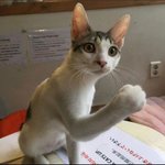 <b>전남대면</b> 너네기준 어떰