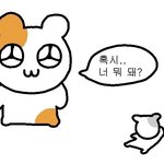 [댓글부탁해] 나 이마 ㅈㄴ좁은데