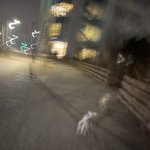 울집견공..20분째 길거리 강아지 스토킹함