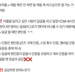 [군대] 원래 마플은 인증해야 하는데