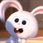 [댓글부탁해] 눈썹 이쁜 판녀들 도와줘,,,