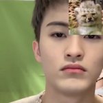 [NCT칠프] 엥 걍 <b>치타</b>아님??