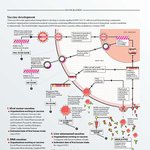 김동욱 원장]인류를 대상으로 한 위험한 백신 임상시험의 비윤리성