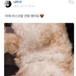 [엔하이픈] 깜짝놀랐는데 너무 <b>귀엽</b><b>닼</b>ㅋㅋㅋ