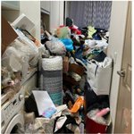 아직까지 다들 먹고살만하가보네