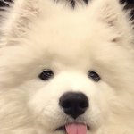 아니 편의점<b>점장</b>한테 거짓말쳤는데 ㅈ됐어ㅠㅠ