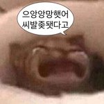 [댓글부탁해] 중학교때 친했던 애한테 <b>디엠</b> 보내봐?