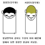 한국 방송카메라 부한 이유 뭔지아냐