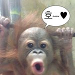 [댓글부탁해] 쌍수할때 <b>타임</b>랩스 찍어도 돼?
