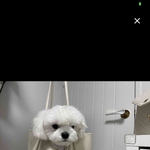 <b>기여버</b>잉!!! ㅋ