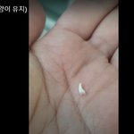 [이빨<b>행운</b>] <b>행운</b>의 고양이 이빨  <b>행운</b>을 함께 나눠요.