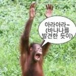 다이어트 중에 커피 먹어도 돼?