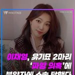 연예인에게 입양보낸 고양이 바꿔치기 당했다던 사건 [네이트판 고양이...