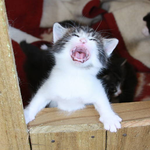 [댓글부탁해] ㅇㄷㄹ 니네 인생영화 추천좀 해주고가라