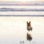 애들아 나 알바비 두<b>달째</b> 못 받았는데