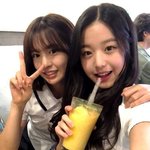[댓글부탁해] 고3 선택과목 이렇게 하면 같은 반