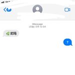 중국사람이 문자로 니애미래