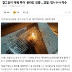 [방탈죄송] 고양이 산채로 불태워 죽인 사건 아셨어요?