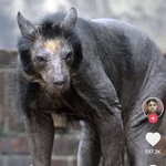 [댓글부탁해] 이거 뭔가 <b>이말년</b> 닮지 않았냐