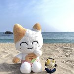 [NCT칠프] 개기엽다