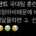 할 네덜란드 이거 <b>보</b><b>셈</b>