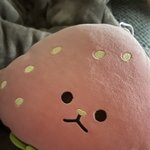 다이소에서 산 딸기인형