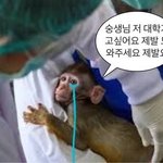 [댓글부탁해] 나 <b>새</b>학기 <b>컨셉</b> 남라 어때? ㅋㅋ큐ㅠ