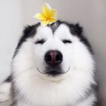 전  <b>넷플</b> 보면서
