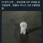 [드루와] 웨딩<b>홀</b> <b>알바</b> 경력 속여도됨??