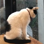 <b>사진</b> 많이 찍길 잘한듯
