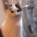 [19] 내 <b>블로그</b> 많이 놀러와줭