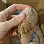 [방탈죄송] <b>티x</b>  물나오는 썩은고구마....