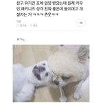 너네학교에 ㄹㅇ 일찐있음??